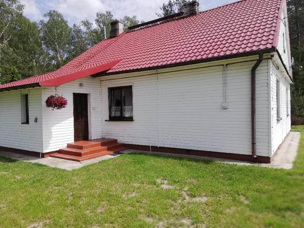 Agroturystyka "Lesne Zacisze Na Podlasiu" Tuczna المظهر الخارجي الصورة