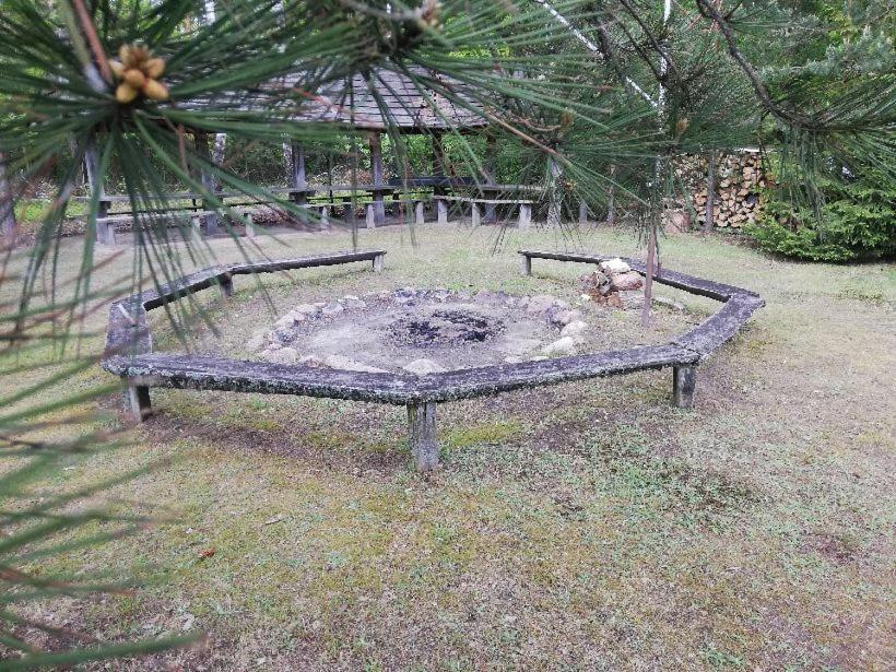Agroturystyka "Lesne Zacisze Na Podlasiu" Tuczna المظهر الخارجي الصورة